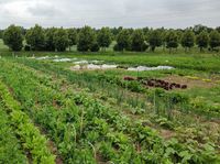 Gemüsegarten zu Mieten / Pachten Niedersachsen - Worpswede Vorschau