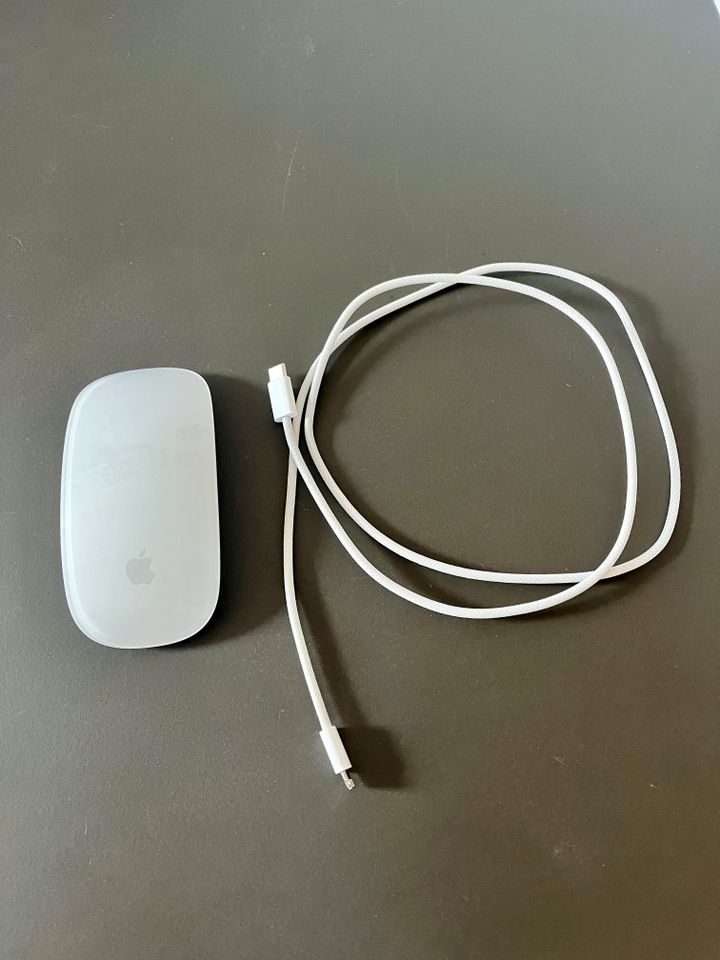 Apple Magic Mouse in Dresden