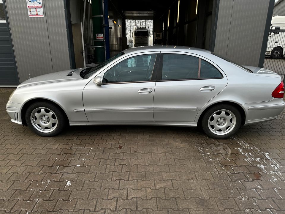 Mercedes Benz w211 e220 cdi in Dörpen