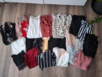 Kleiderpaket Oberteile 2XL Sachsen-Anhalt - Magdeburg Vorschau