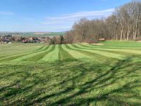 Striegeln Grünland, Wiesen, Weiden, Pferdeweide Niedersachsen - Denkte Vorschau