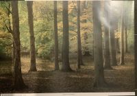 Herbstwald von Wolfgang Krammisch 1989 DDR Sachsen - Chemnitz Vorschau