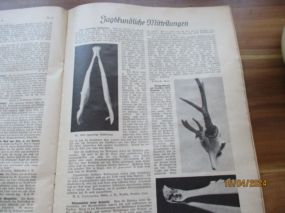 Deutsche Jagd   Ausgabe vom 8. Mai 1936 in Pfullingen