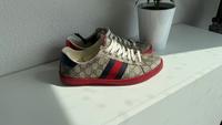 Gucci Sneakers Baden-Württemberg - Schwäbisch Hall Vorschau