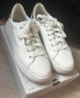 GEOX Schuhe NEU Gr. 41 Sachsen - Chemnitz Vorschau