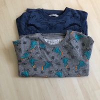 2 Pullover/Shirts Gr.110/116 mit Dinos Sachsen - Meerane Vorschau