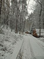 Waldarbeit Durchforstung Forstarbeiten Bayern - Hirschaid Vorschau