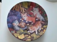 Katzen Sammelteller- sehr gut erhalten Nordrhein-Westfalen - Sassenberg Vorschau