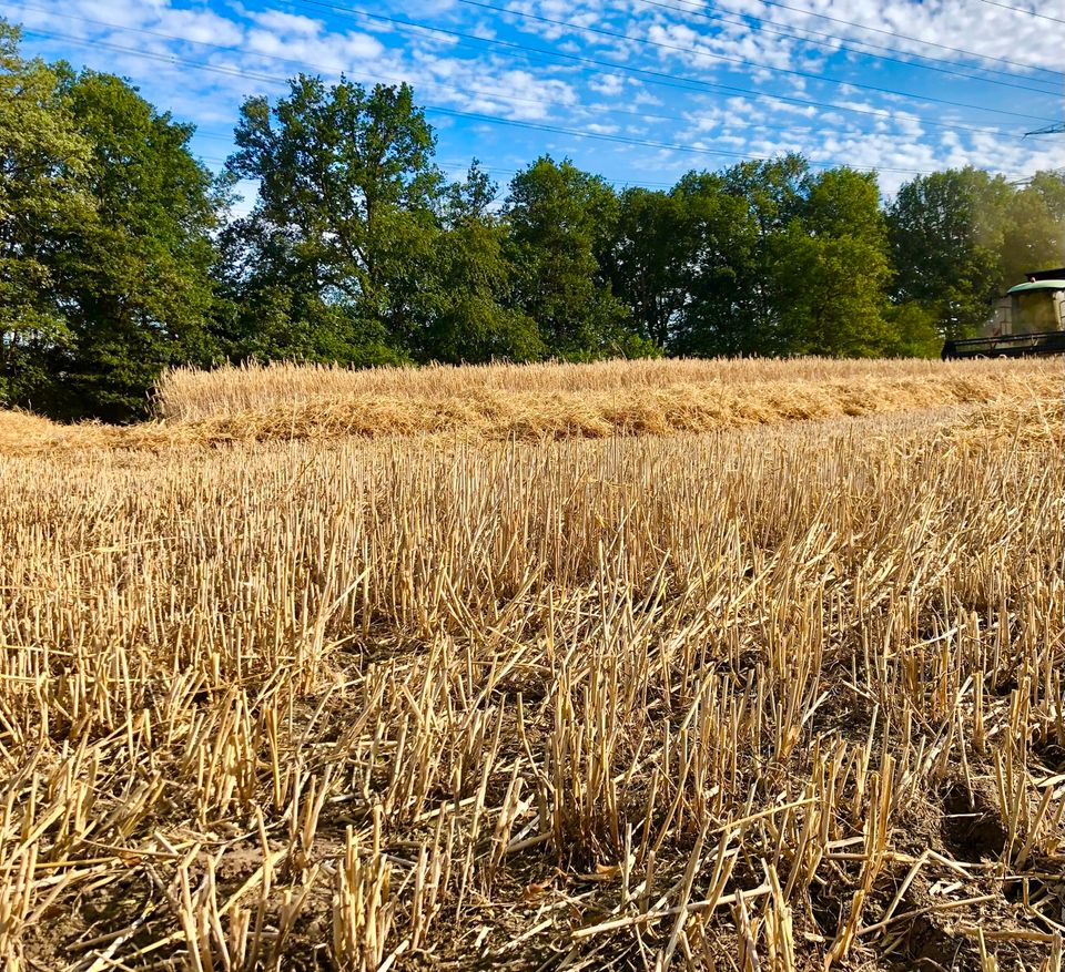 SUCHE Ackerland Grünland in Haltern am See