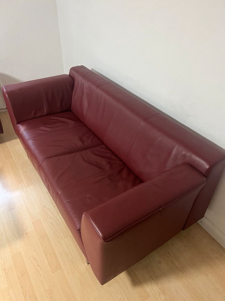 2x Rolf Benz Leder Sofa Linea rot in Bergisch Gladbach