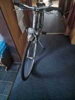 Diamant 28 Zoll Damenfahrrad Sachsen - Hohenstein-Ernstthal Vorschau