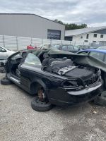 Volvo C70 Cabrio Schlachtfest Teile BLACK STONE SOLID Verdeck Tür Niedersachsen - Neuenkirchen - Merzen Vorschau