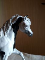 Breyer Modellpferd Araber Repaint Traditional Pinto Araber Bayern - Giebelstadt Vorschau