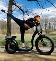 Monsterroller Fatbike Roller E-Scooter Dog-Scooter 40km/h Brandenburg - Cottbus Vorschau