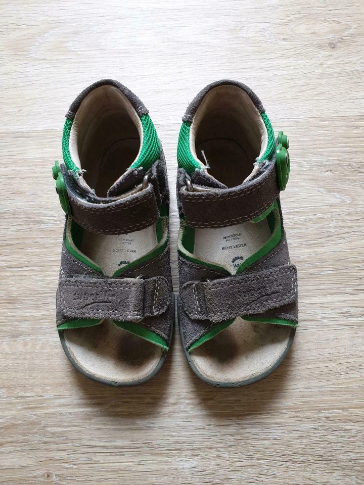 Superfit Rocky Sandalen Frosch grau Gr 23 * TOP * in Teistungen