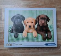 Puzzle Labradorwelpen ❤️ 1000Teile Clementoni Italien 50cm x 69cm Nordrhein-Westfalen - Iserlohn Vorschau