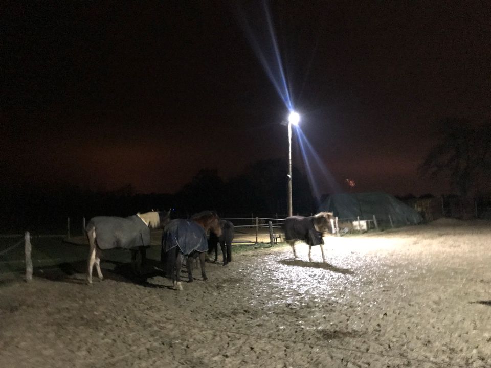 Offenstall / Offenstallplatz für Pferd bis ca 1,55m in Bottrop