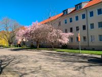 Wohnzimmer mit Eckausblick, großzügige Singlewohnung im Erdgeschoss Sachsen-Anhalt - Calbe (Saale) Vorschau