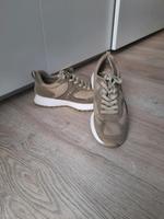 Damen Esprit Sneaker gr. 39 Nordrhein-Westfalen - Paderborn Vorschau