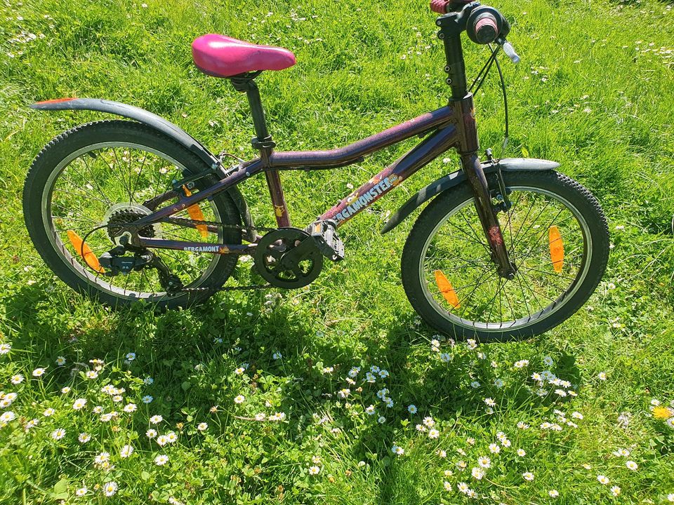 Kinderfahrrad Fahrrad 20'' Zoll Mountainbike in Südharz