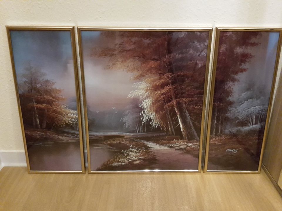 Triptychon - Bild (3-teilg.) schöne Winter-Flußlandschaft in Chemnitz