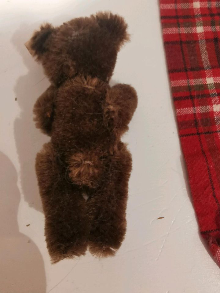 Steiff Tiere Rarität Original Teddy 10 cm braun komplett in Düsseldorf