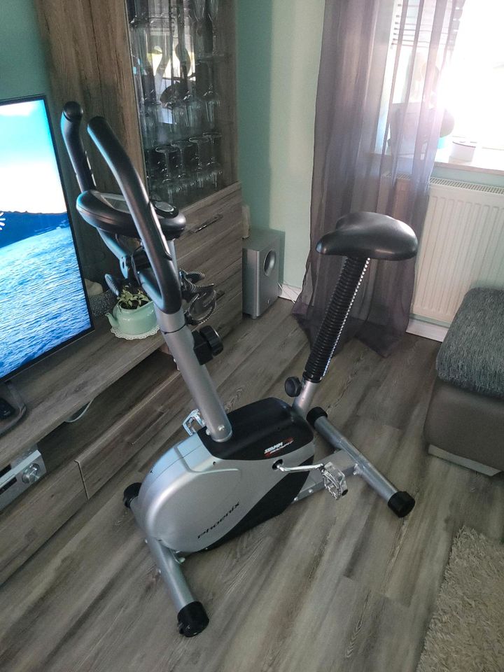 Ergometer Fahrrad stamm bodyfit in Glanbrücken