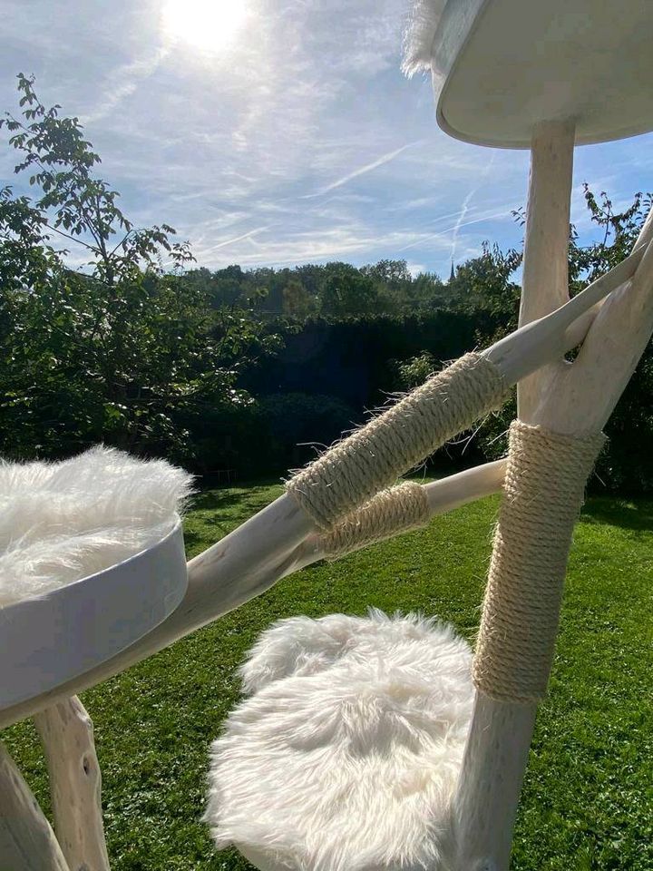 Sofortverkauf! Kratzbaum Natur 1,70m Echtholz - Sisal weiss in Rehe