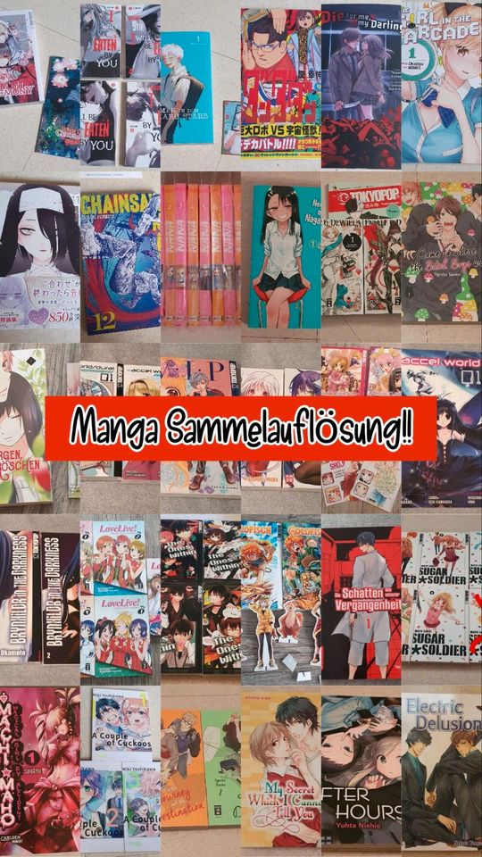 Manga Sammelauflösung in Frankfurt am Main