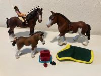 Schleich Set 1 Pferde, Ponys Fohlen Nordrhein-Westfalen - Werne Vorschau