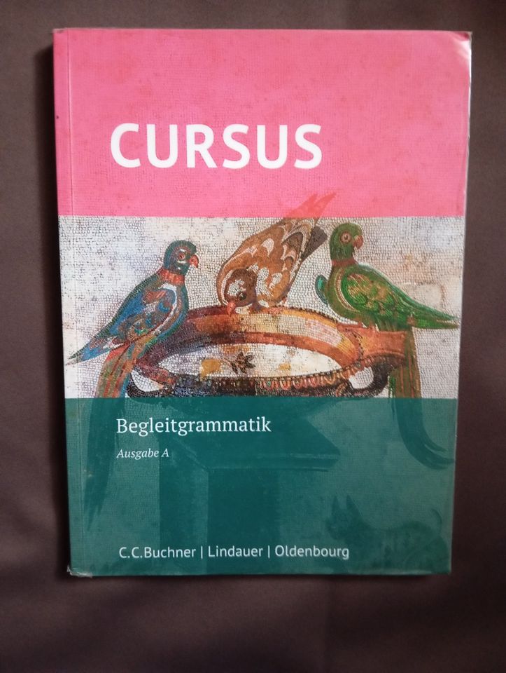 Cursus Buch Deutsch Latein 2 Fremdsprache Begleitgrammatik Vokabe in Marsberg