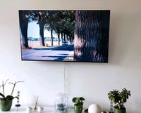 Hisense TV 65e7kq QLED- neuwertig Leipzig - Connewitz Vorschau