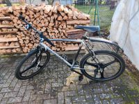 Fahrrad/Mountainbike Brandenburg - Werben (Spreewald) Vorschau