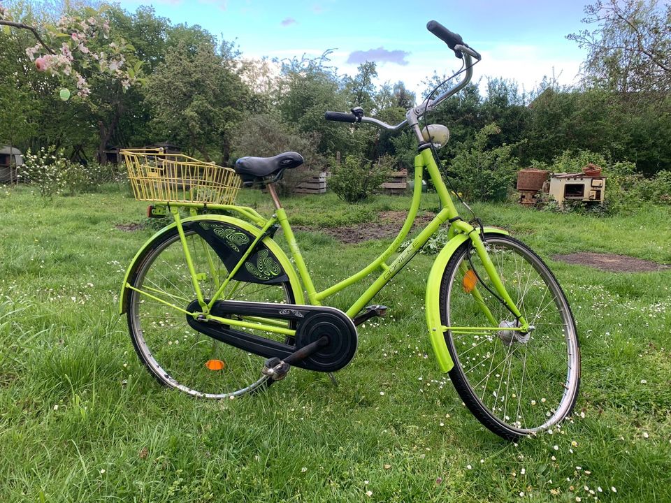 Damen Fahrrad in Finsterwalde