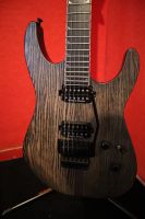 Jackson Soloist SL2A Pro E-Gitarre Nordrhein-Westfalen - Rheinberg Vorschau