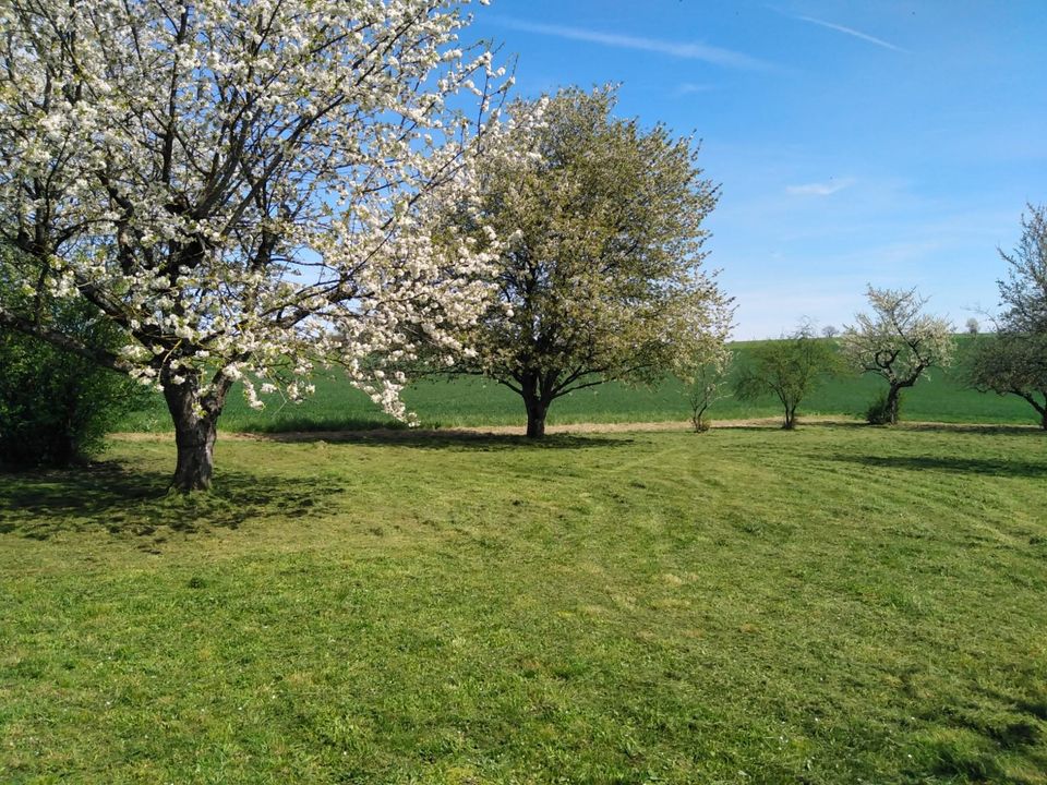 Freizeit Grundstück, Landwirtschaftsfläche, Garten. in Ispringen