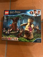 Lego 75967 Harry Potter Nordrhein-Westfalen - Meschede Vorschau