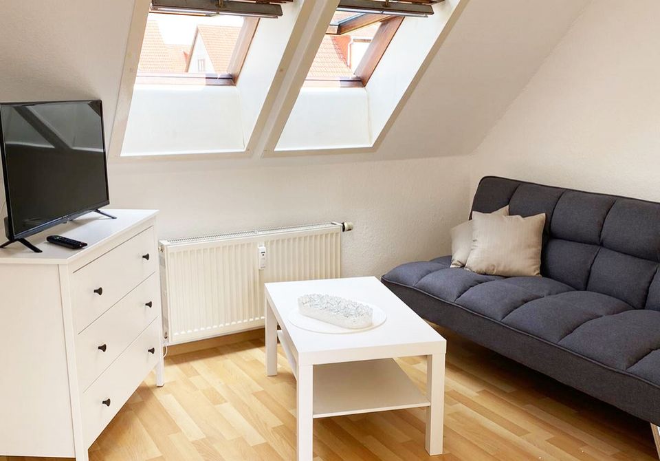 ZW15 schönes 1 Zimmer Ferien Apartment mit Dachterrasse in Glauchau