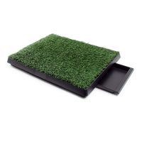 Welpen Hundetoilette mit Gras 63x51cm – Hundeklo mit Kunstrasen Nordrhein-Westfalen - Gladbeck Vorschau