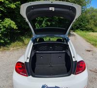 Volkswagen Beetle Baden-Württemberg - Neuenstadt Vorschau