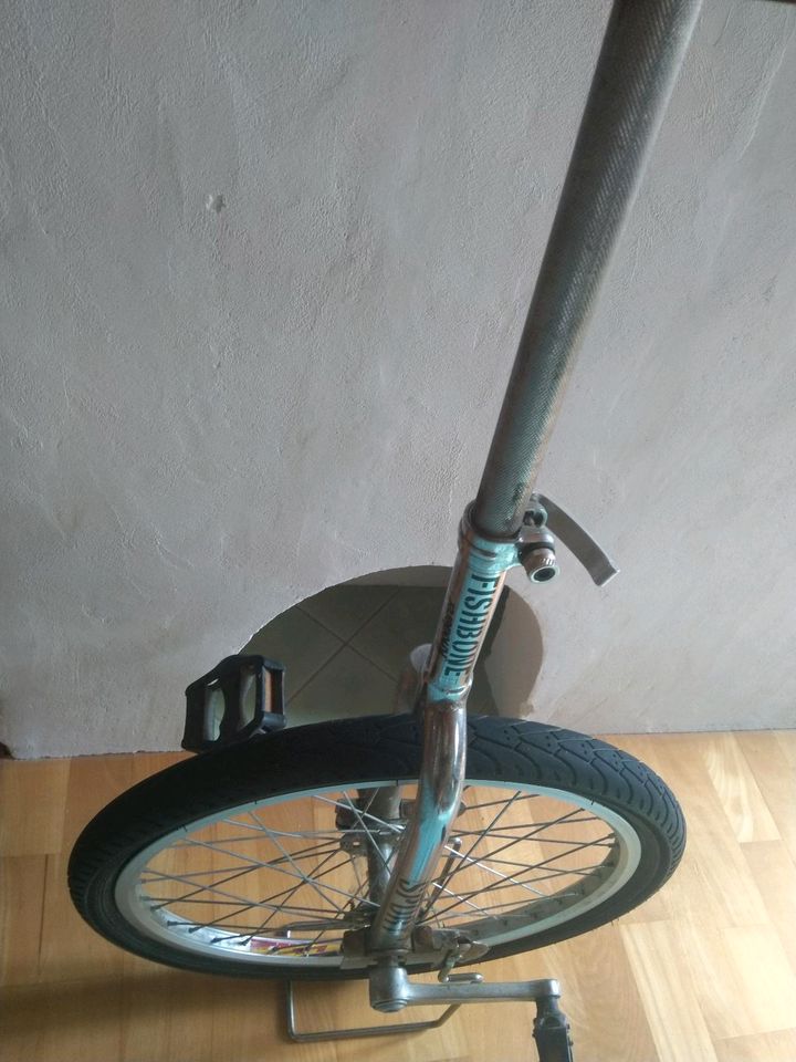 Fishbone Einrad Unicycle Silber schwarz Mädchen Damen Sport in Gengenbach