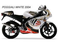 Suche Aprilia RS 50/125 Manuel Poggiali White Edition 2004 Sachsen - Wildenfels Vorschau