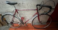 Motobecane Rennrad / Vintage / NOS / retro / RH 58 Brandenburg - Falkensee Vorschau