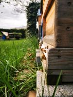 Imkerzubehör / Bienen Hessen - Lahntal Vorschau