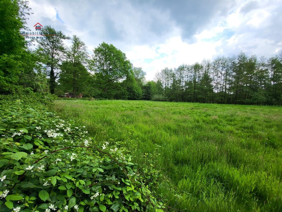 Pferde- und Naturliebhaber aufgepasst. Baugrundstück  / Grundstück zur Größe von 5.517 qm in der Schwaneburger Wieke. Einmalig schöne Lage. Positive Bauvoranfrage liegt vor. in Friesoythe