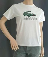 Lacoste T-Shirt für Jugendliche Gr/164  FESTPREIS Niedersachsen - Laatzen Vorschau