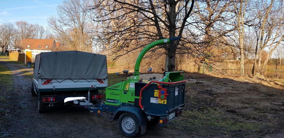 Baumpflege, Baumfällung, Baum fällen, Sturmschadenbeseidigung in Meuselwitz