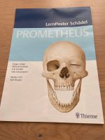 Prometheus Lernposter Schädel Bayern - Würzburg Vorschau