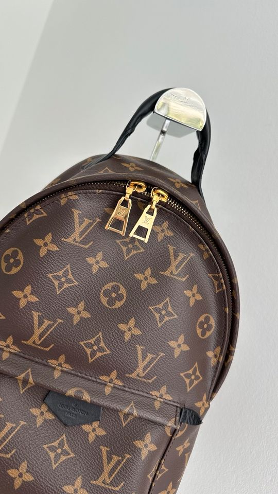 Louis Vuitton Palm Springs PM Rucksack Black in Krefeld