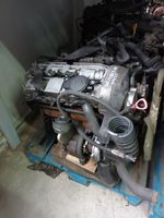 Motor Mercedes Vito Viano 2.2 CDI 646.980 - Komplett Brandenburg - Blankenfelde-Mahlow Vorschau